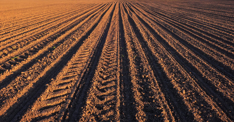When Should I Run A Soil Test?