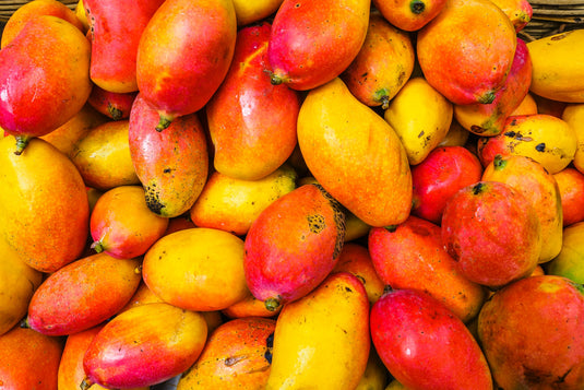 AgriGro® Produces 529 More Boxes / Hectare In Mangos
