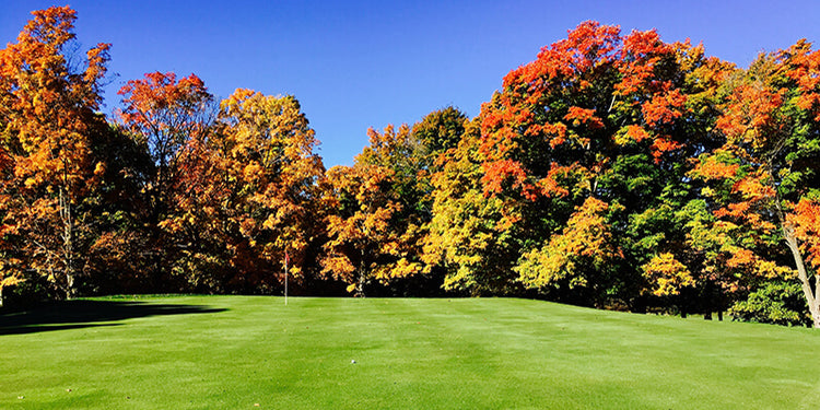 Creating a Better World