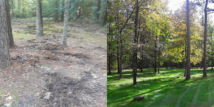 Turning a Heavily Shaded, Wild Hog and Hurricane Destroyed Yard into a Beautiful Lawn in 30 Days