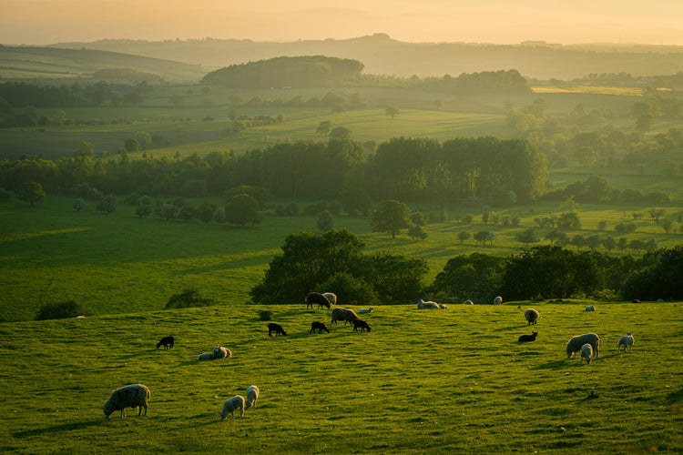 3 Mistakes Pasture Managers Make