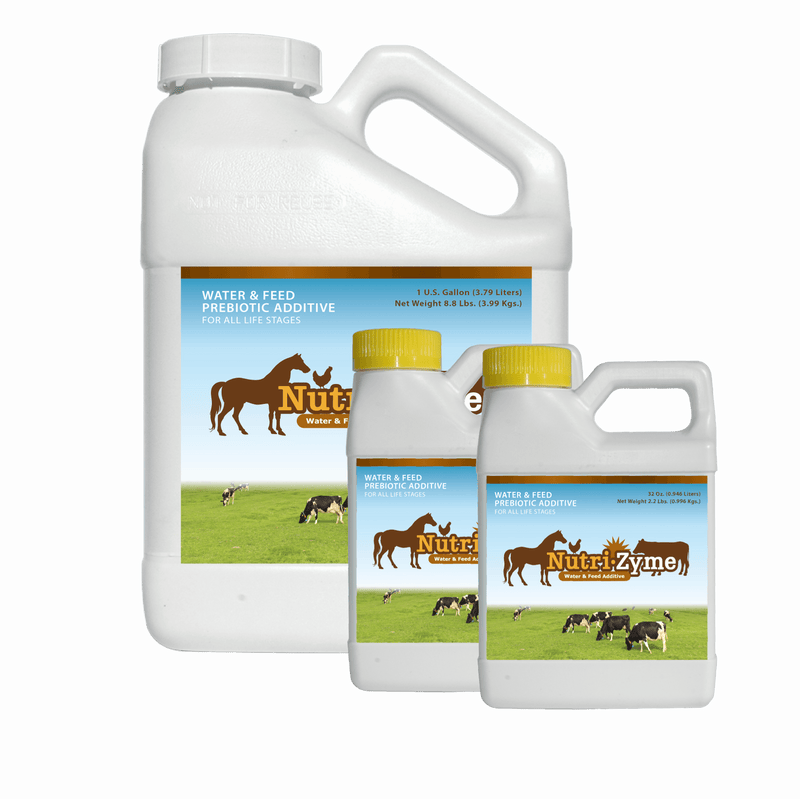 Load image into Gallery viewer, NutriZyme® by AgriGro, a natural supplement for poultry health, enhances digestion, immunity, and overall vitality.