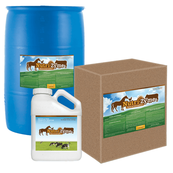 agrigro nutrizyme livestock water and food additive