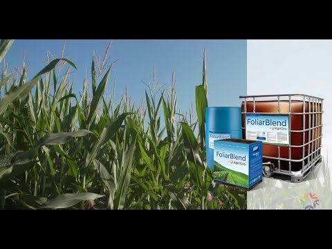 Load and play video in Gallery viewer, 20 Acre Pasture