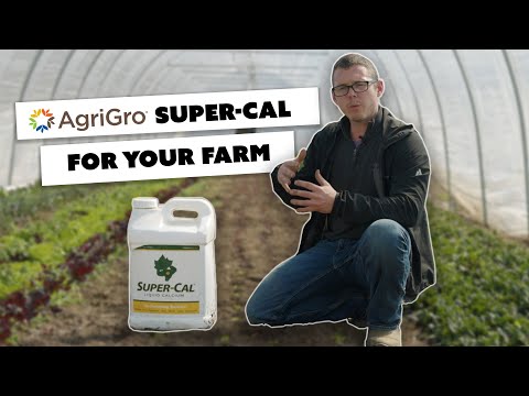 5 Acre Combo