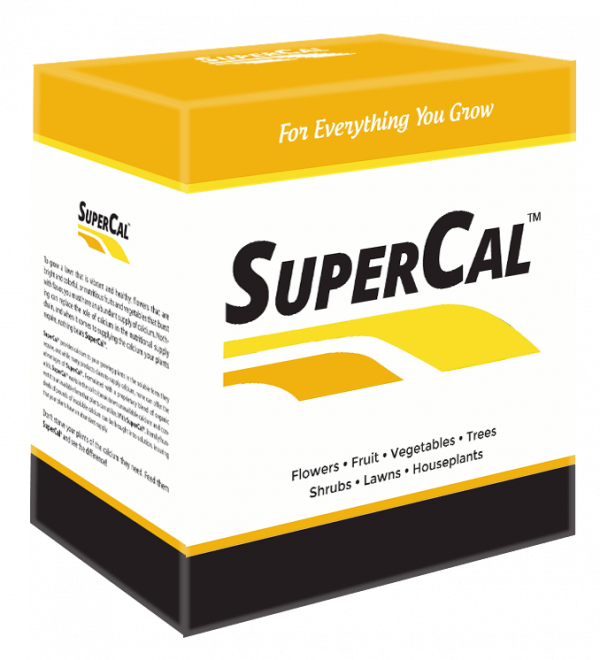 supercal braodway