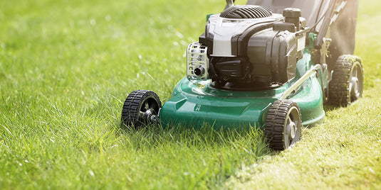 Turfgrass Response to Mowing Pt. 2