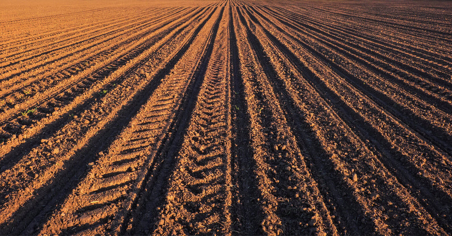 When Should I Run A Soil Test?