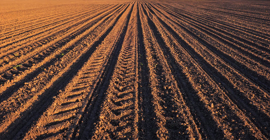 When Should I Run A Soil Test?