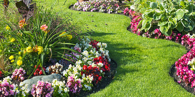 Is it Time for a Perennial Reset?