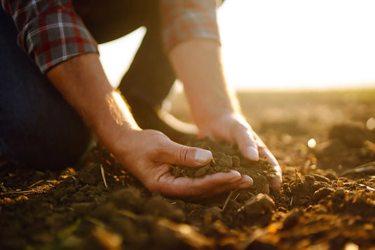 Diversity and Richness in the Soil