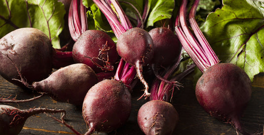 How to Have Your Best Fall Garden