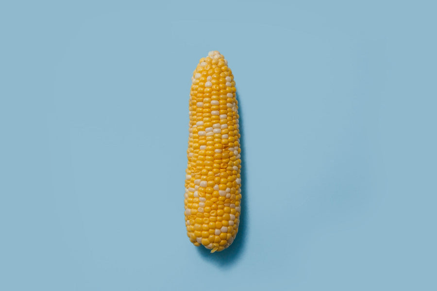 FoliarBlend® Study Produces 17.22 BPA Increase in Corn