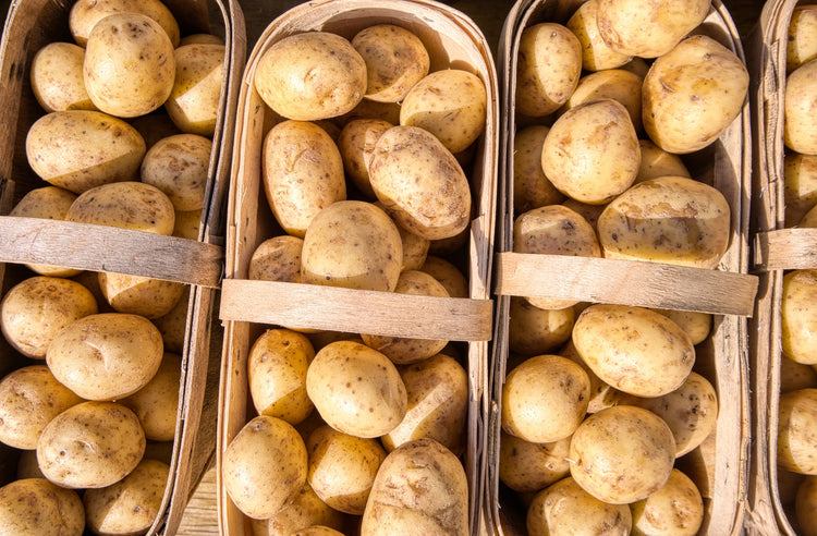 AgriGro® Applications on Russet Potatoes Show A 14% Yield Increase