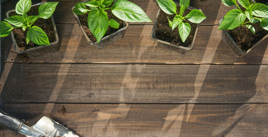 Home Grown, Naturally and Sustainably