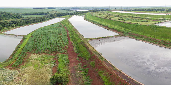 Lagoon Management in Animal Agriculture