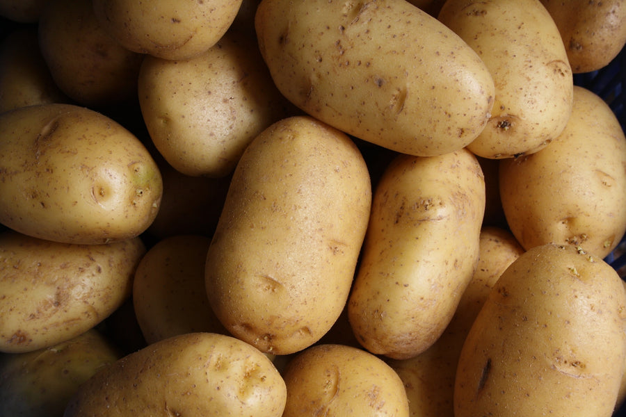 The Interactive Effect of AgriGro® Products and Fungicide Application Rate on Russet Potatoes