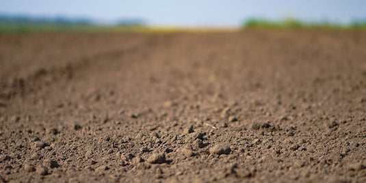 Manage Soil Compaction and Watch Your Crops & Profits Grow