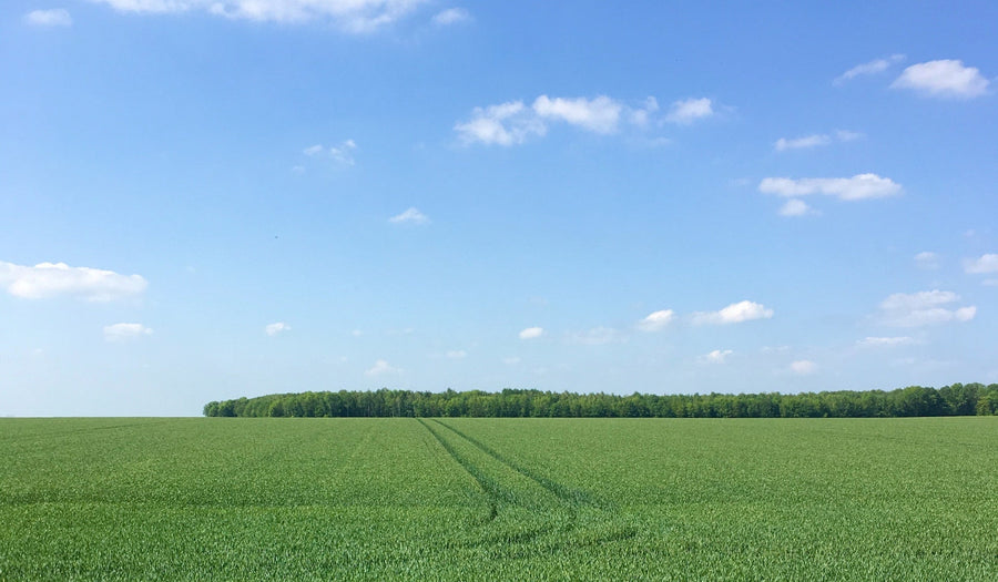 10.1 BPA Increase in Soybeans Using FoliarBlend®