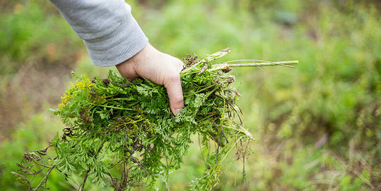 Transitioning from Season to Season: A Checklist For You