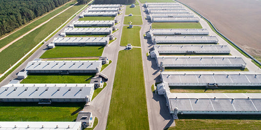 Improving Litter Quality