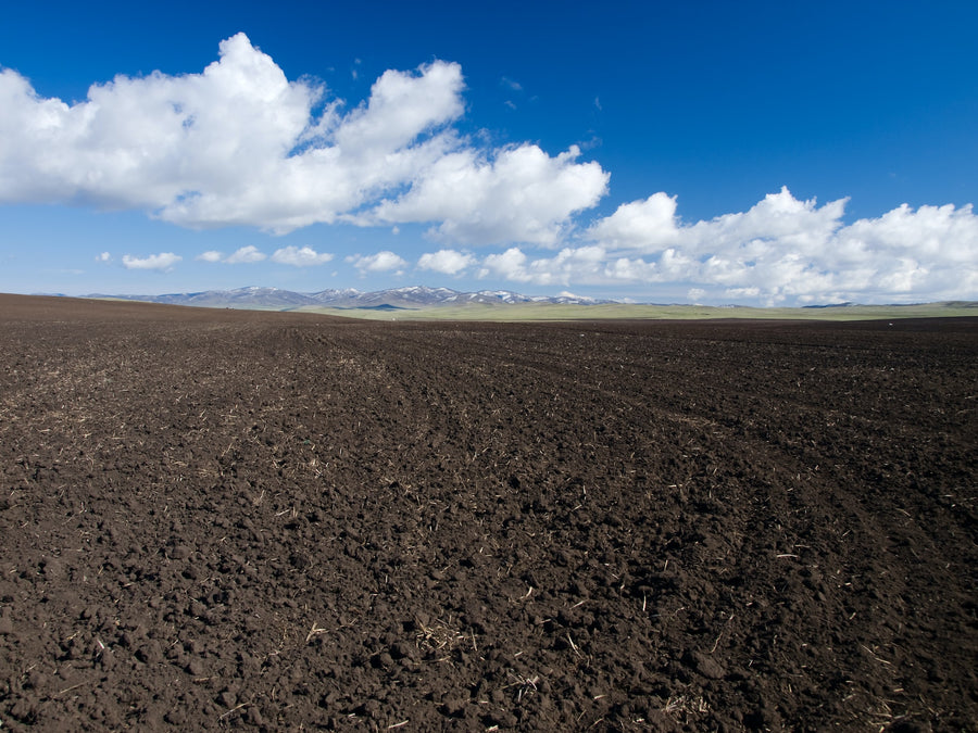 FoliarBlend® Farm Trial Increases Sorghum Yields 1,020 k/ha in Uruguay.