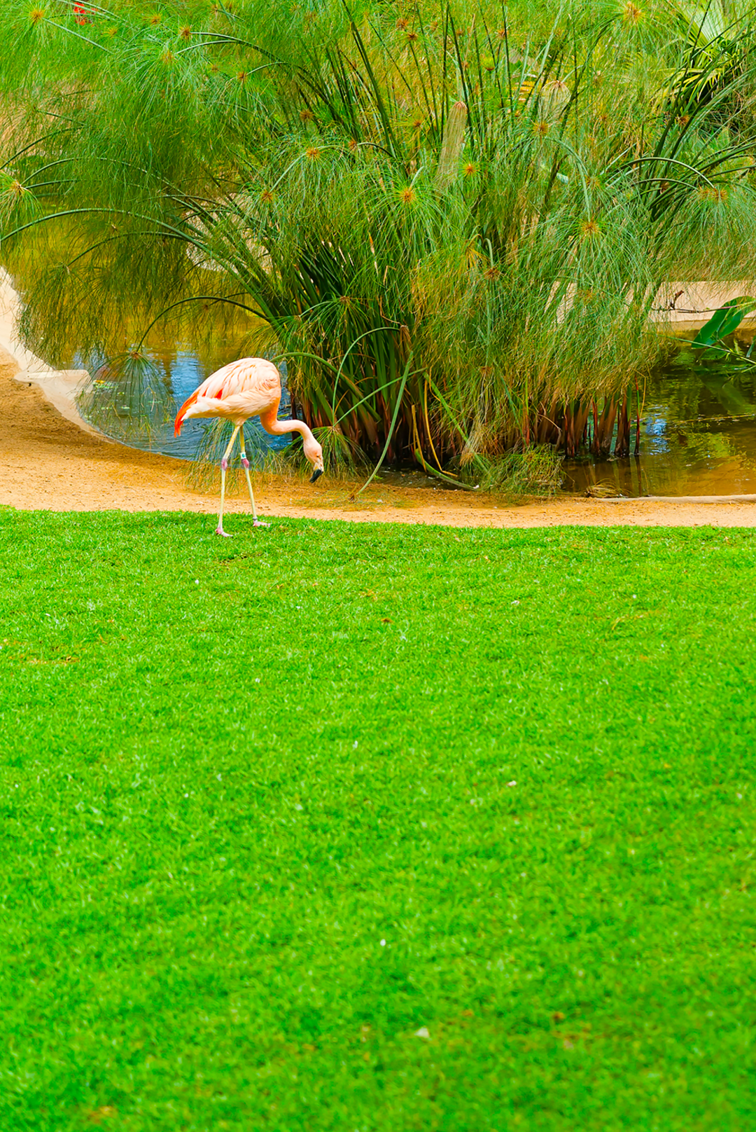 How It Works: Building Lawn Health Below the Surface