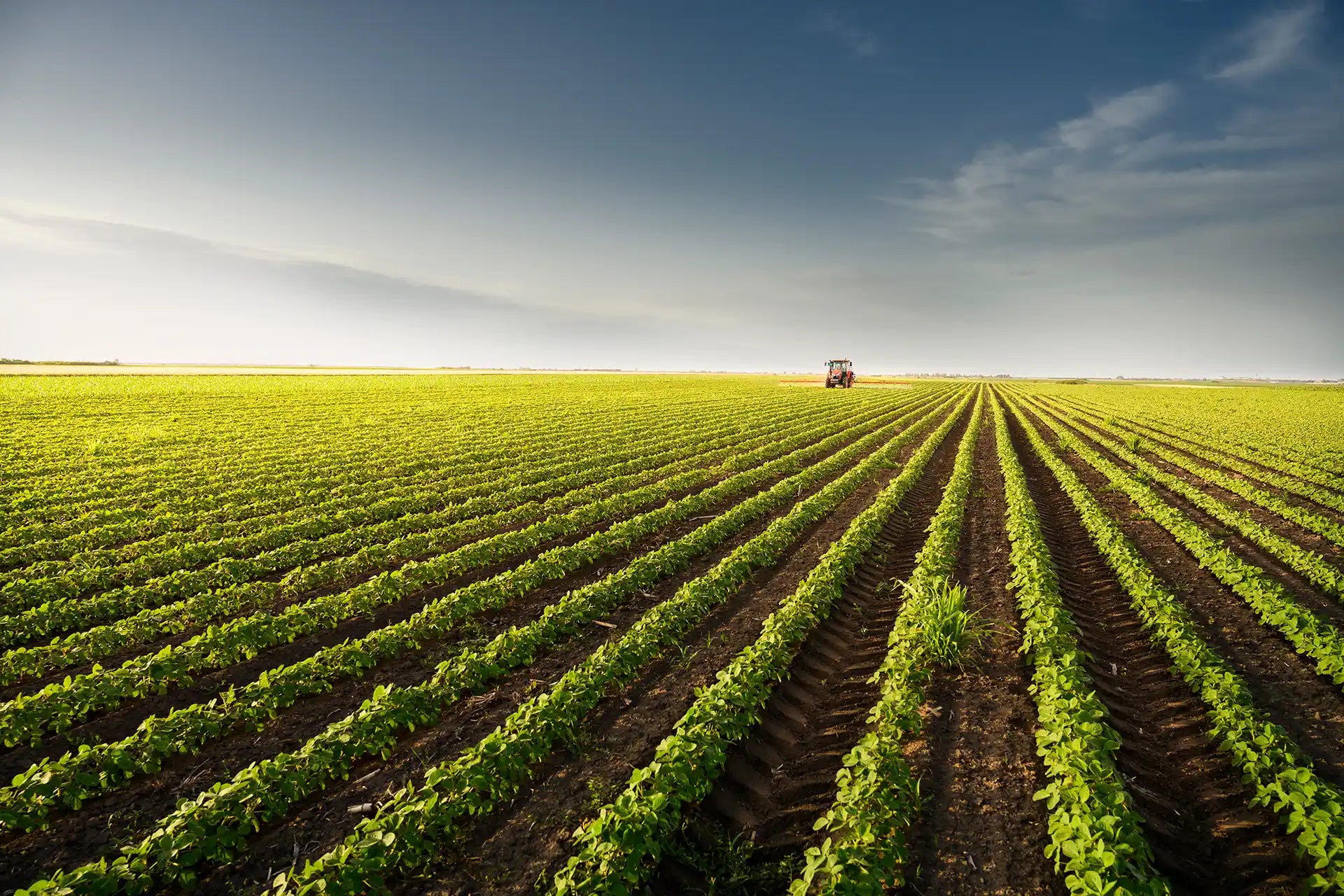 AgriGro field and crop solutions