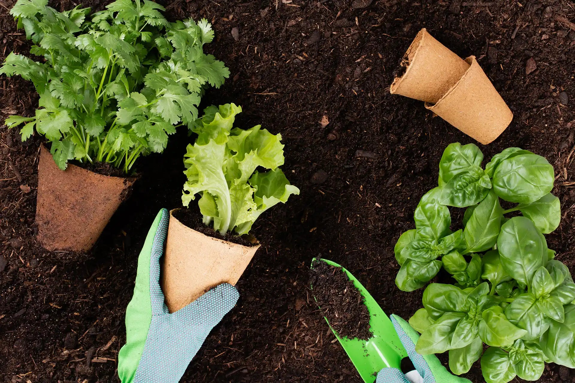 AgriGro blog