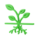 Root Zone Enhancement