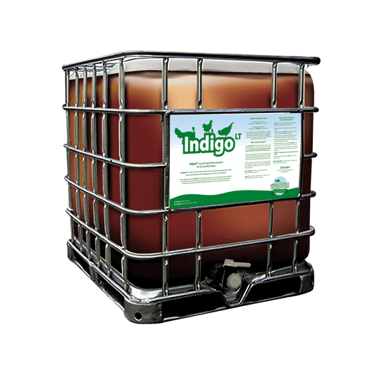IndigoLT® offers a natural solution for ammonia reduction in poultry litter, using proprietary prebiotics for a healthier, safer, and eco-friendly environment.