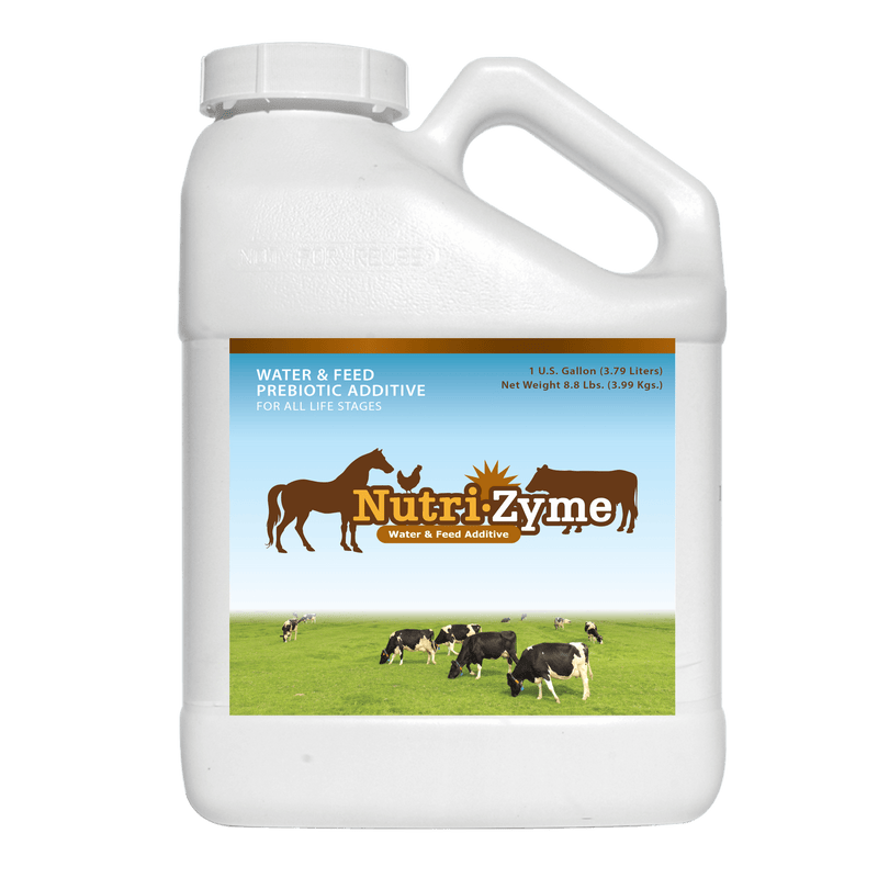 Load image into Gallery viewer, NutriZyme® by AgriGro, a natural supplement for poultry health, supports digestion, immunity, and overall vitality. — alternate view 5

