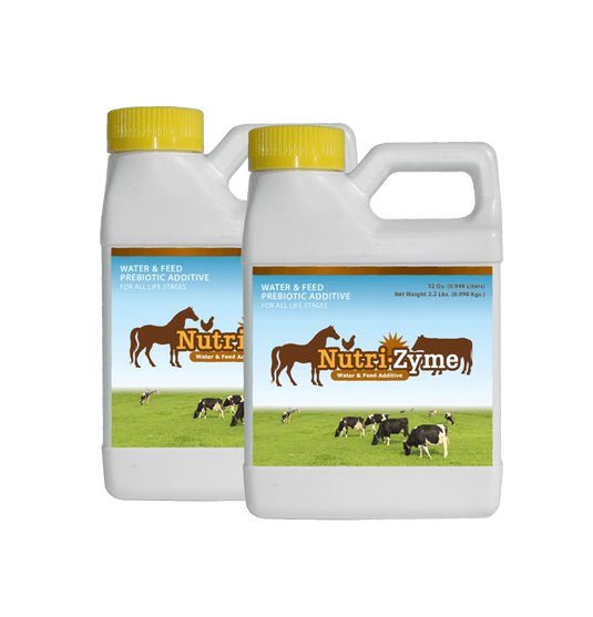 Poultry, Cattle, and Horses; providing a supplemental dietary source of essential nutrients such as potassium, zinc, magnesium, iron, and iodine for all life stages.