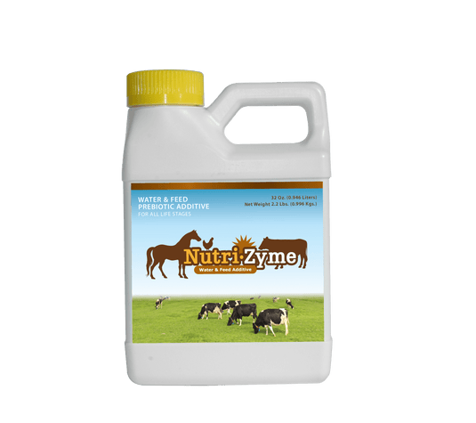 Poultry, Cattle, and Horses; providing a supplemental dietary source of essential nutrients such as potassium, zinc, magnesium, iron, and iodine for all life stages.