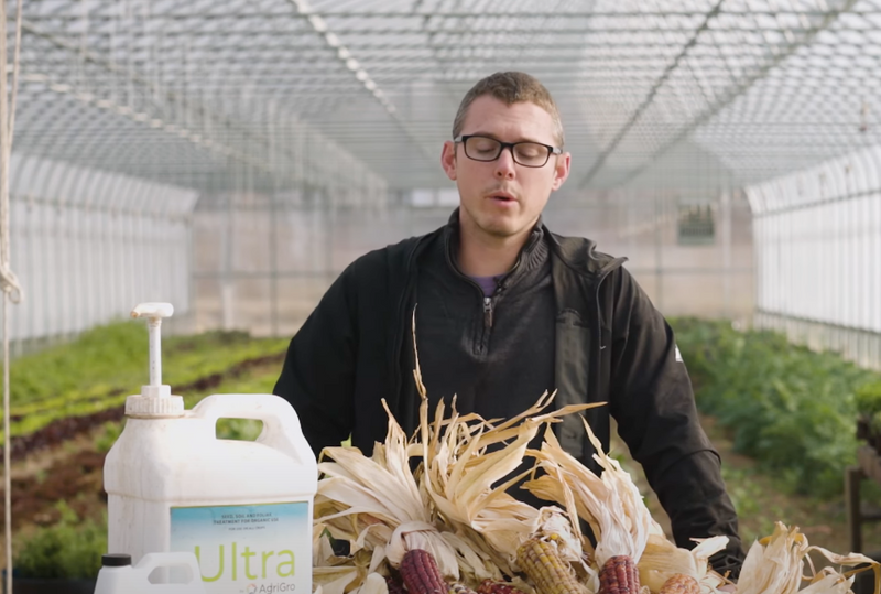 Corn Germination Testimonial