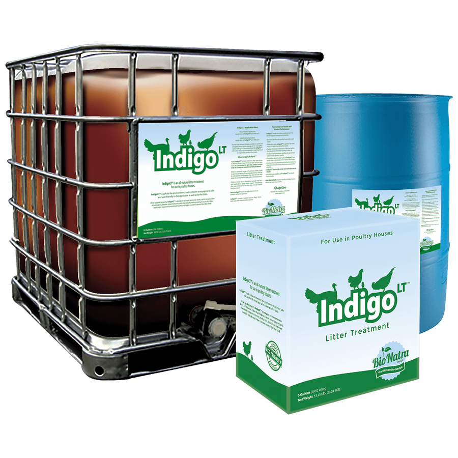 IndigoLT