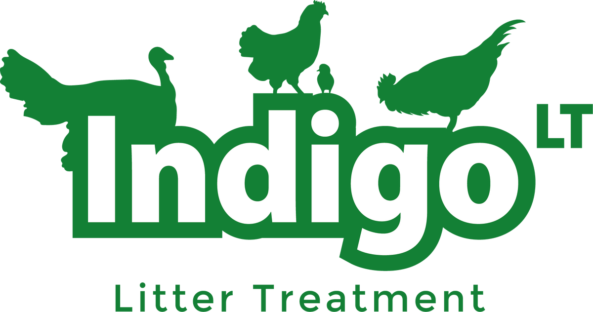 IndigoLT®